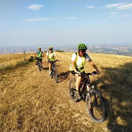 Manor In Marche Near Adriatic Beaches Villa Monsano